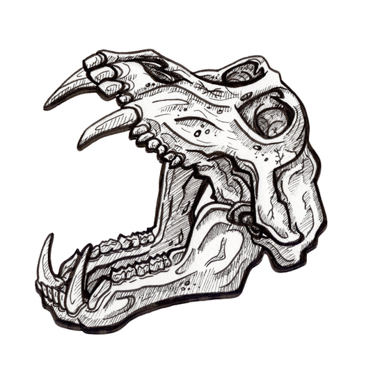 Chacma Baboon Jaw Sticker