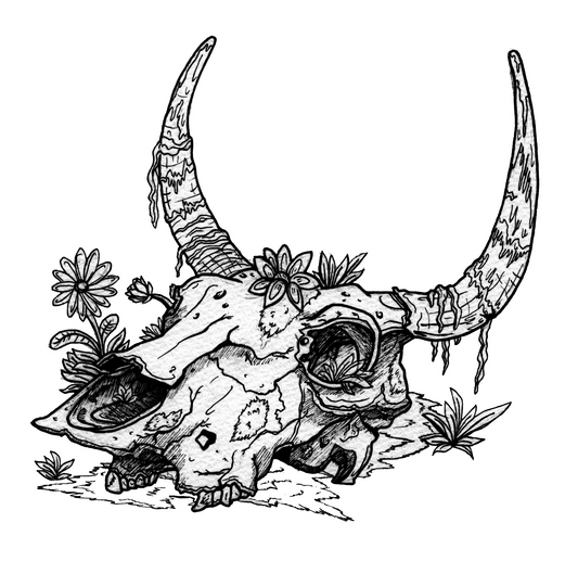 Bovid Cow Skull Sticker